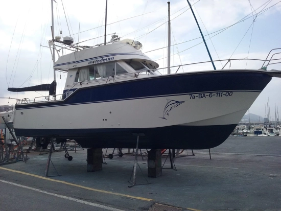 Rodman Fisher 1100 de segunda mano en venta
