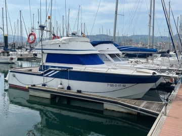 Rodman 1100 de segunda mano en venta