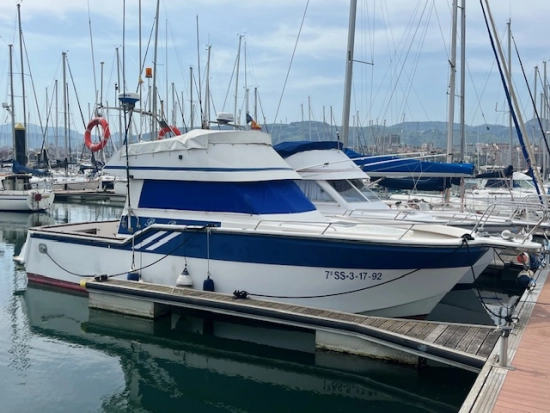 Rodman 1100 usata in vendita