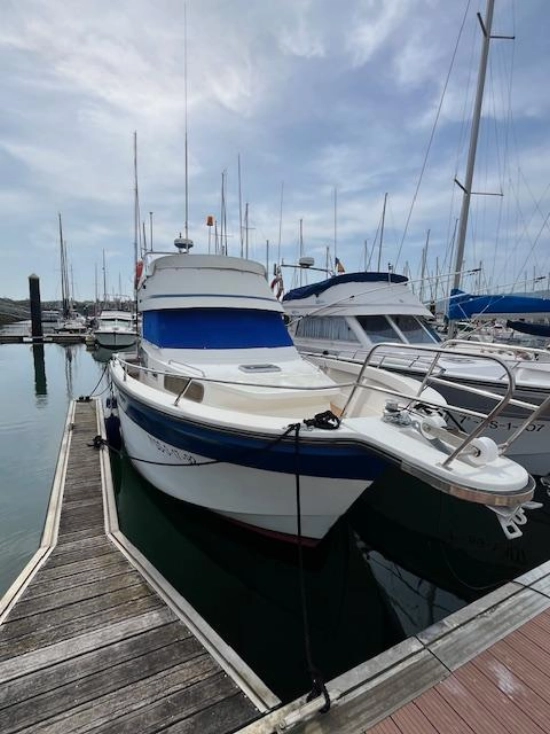Rodman 1100 usata in vendita
