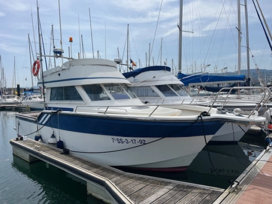 Rodman 1100 usata in vendita