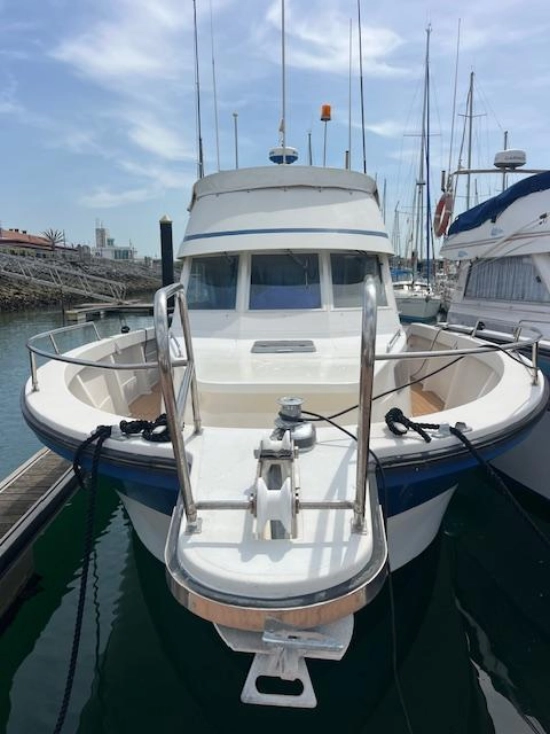 Rodman 1100 usata in vendita