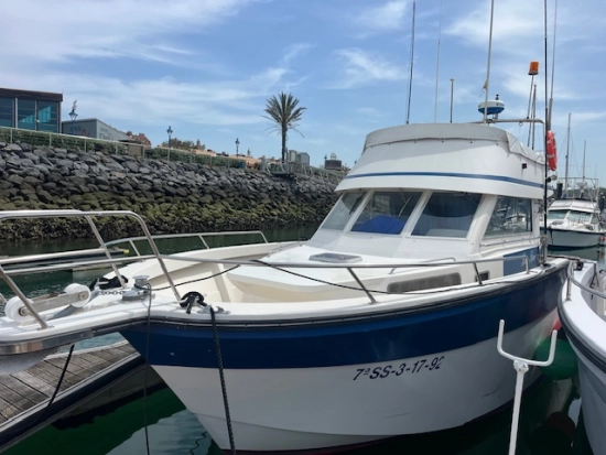Rodman 1100 usata in vendita
