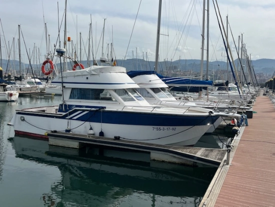 Rodman 1100 usata in vendita