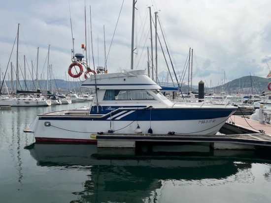 Rodman 1100 usata in vendita
