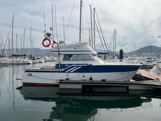 Rodman 1100 usata in vendita