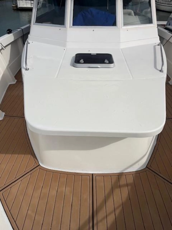 Rodman 1100 usata in vendita