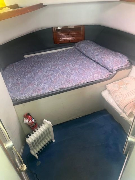 Rodman 1100 usata in vendita