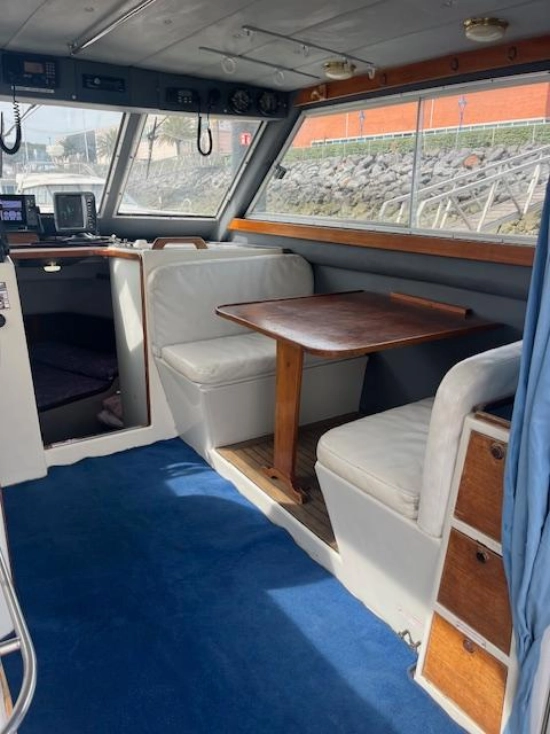 Rodman 1100 usata in vendita