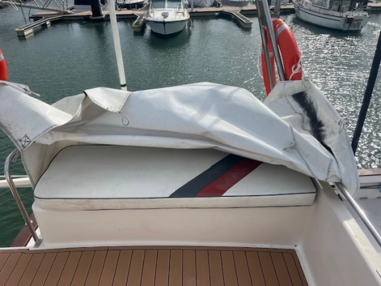 Rodman 1100 usata in vendita