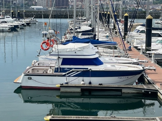 Rodman 1100 usata in vendita