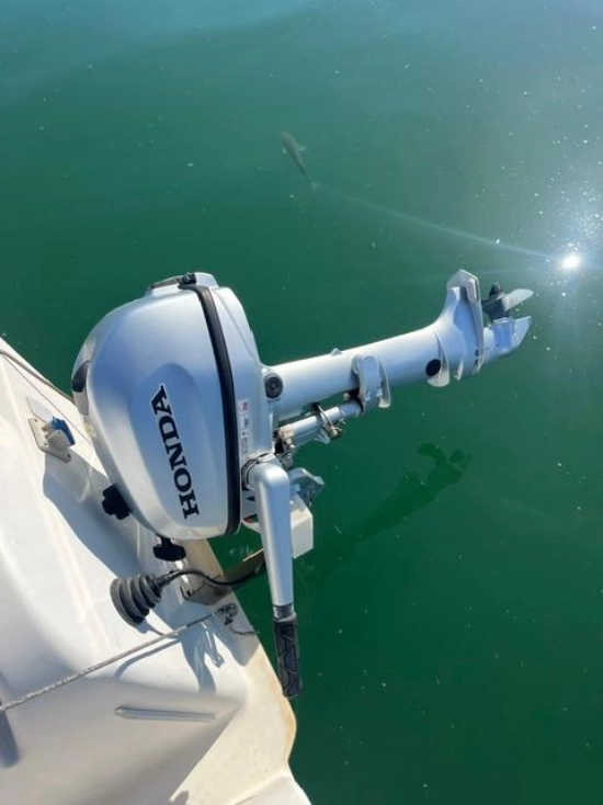 Astraea ALBATROS usata in vendita
