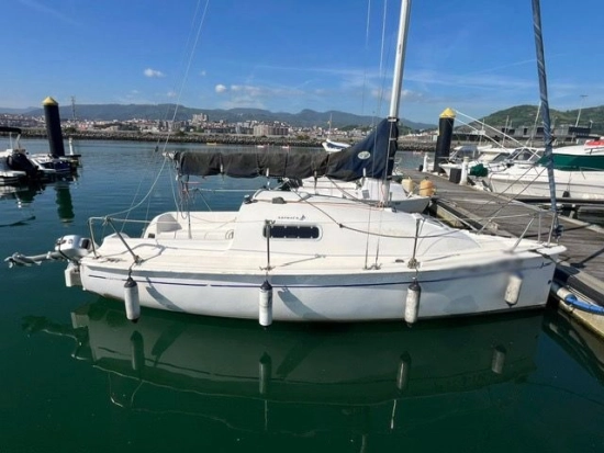 Astraea ALBATROS usata in vendita