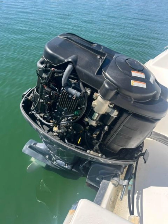 Selva Marine F 6.5 Cabin Sport usata in vendita