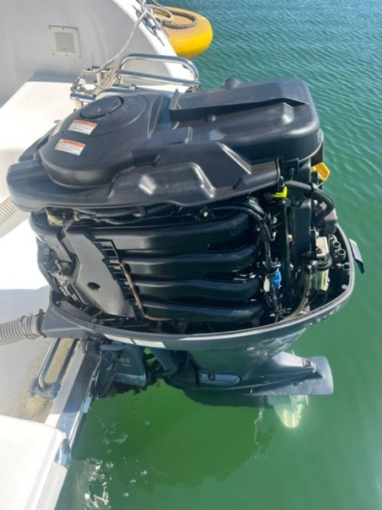 Selva Marine F 6.5 Cabin Sport usata in vendita