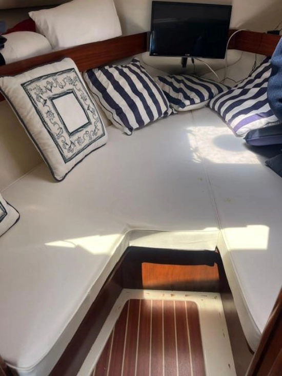 ACM DUFOUR HERITAGE 26 usata in vendita