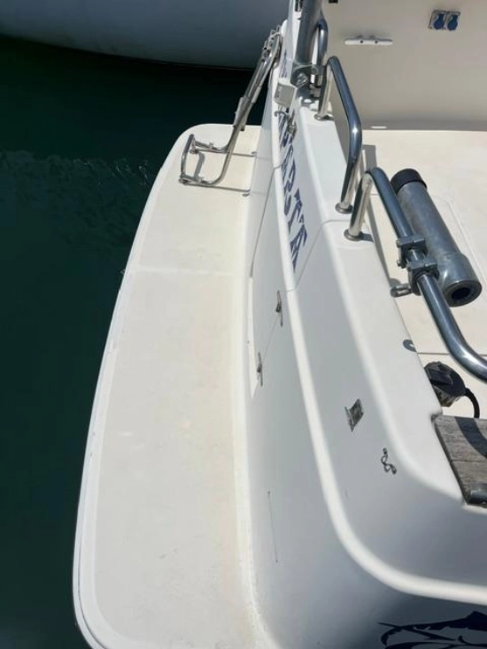 Rodman 800 de segunda mano en venta