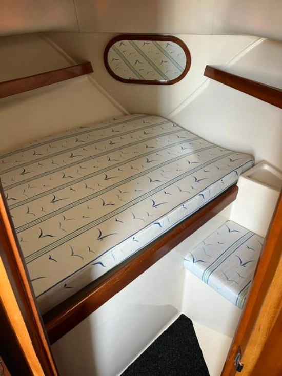 Rodman 800 de segunda mano en venta