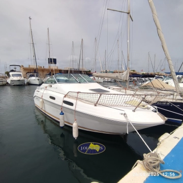 Sea Ray Sundancer 230 usata in vendita