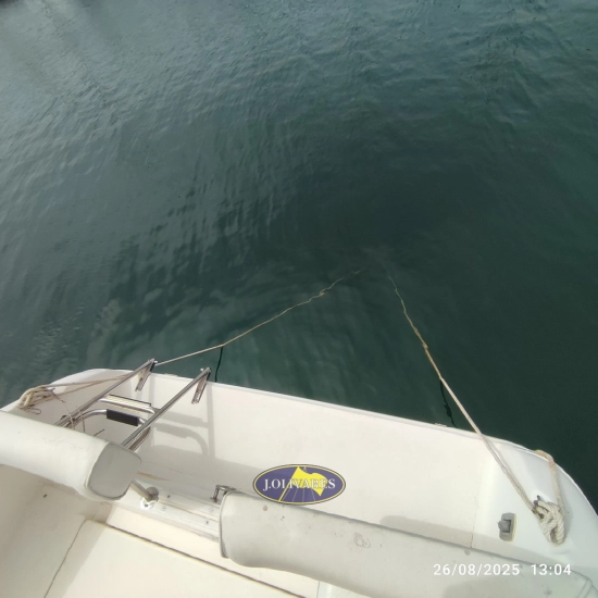 Sea Ray Sundancer 230 usata in vendita