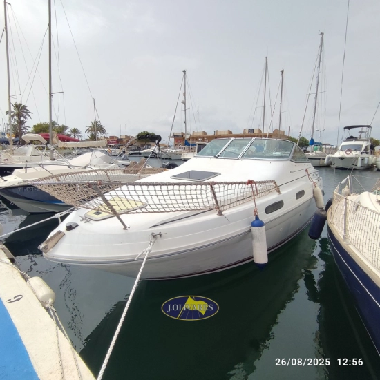 Sea Ray Sundancer 230 usata in vendita