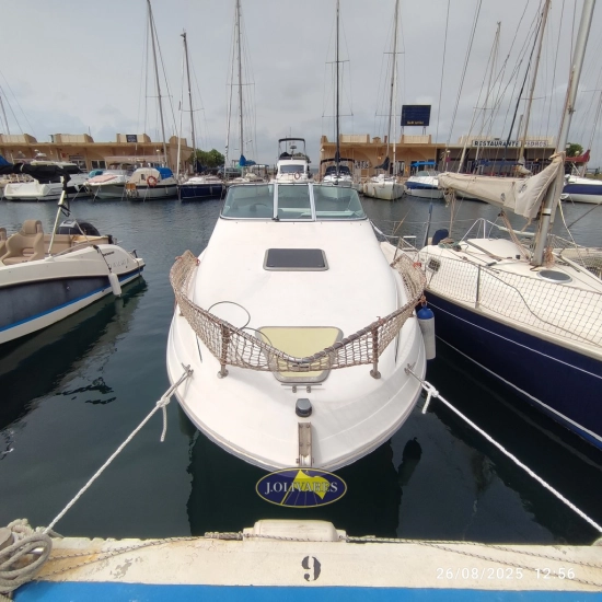Sea Ray Sundancer 230 usata in vendita
