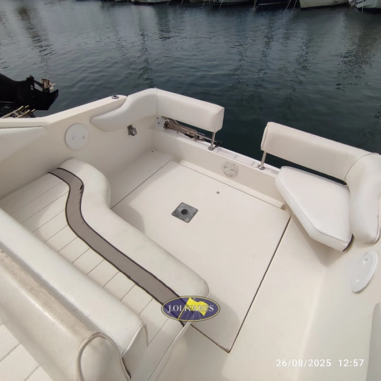 Sea Ray Sundancer 230 usata in vendita