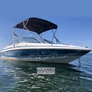 Chris Craft Concept 19 usata in vendita