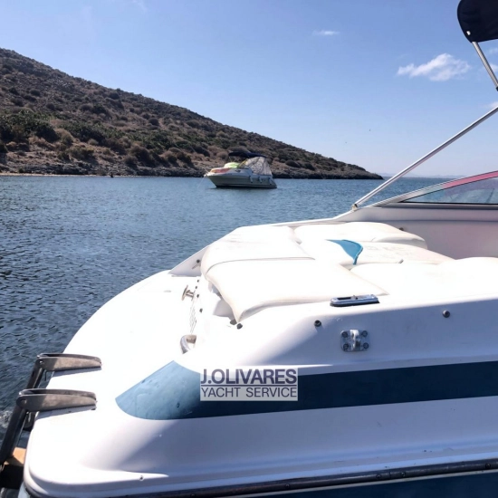 Chris Craft Concept 19 usata in vendita
