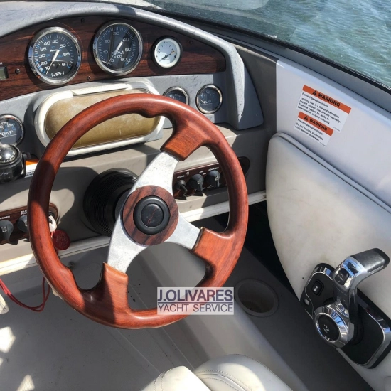 Chris Craft Concept 19 usata in vendita