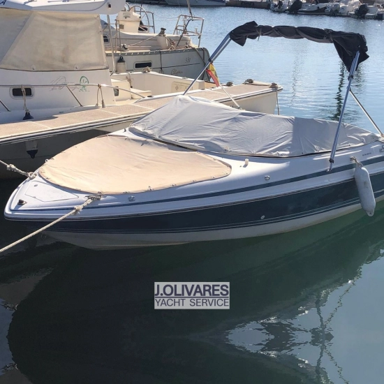 Chris Craft Concept 19 usata in vendita