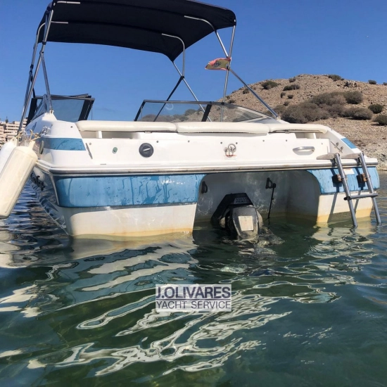 Chris Craft Concept 19 usata in vendita