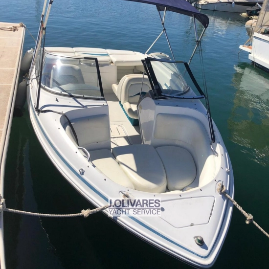 Chris Craft Concept 19 usata in vendita