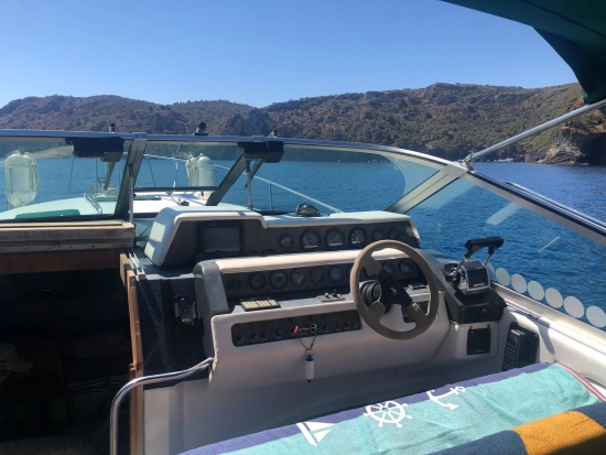 Sea Ray Sundancer 290 Da usado à venda