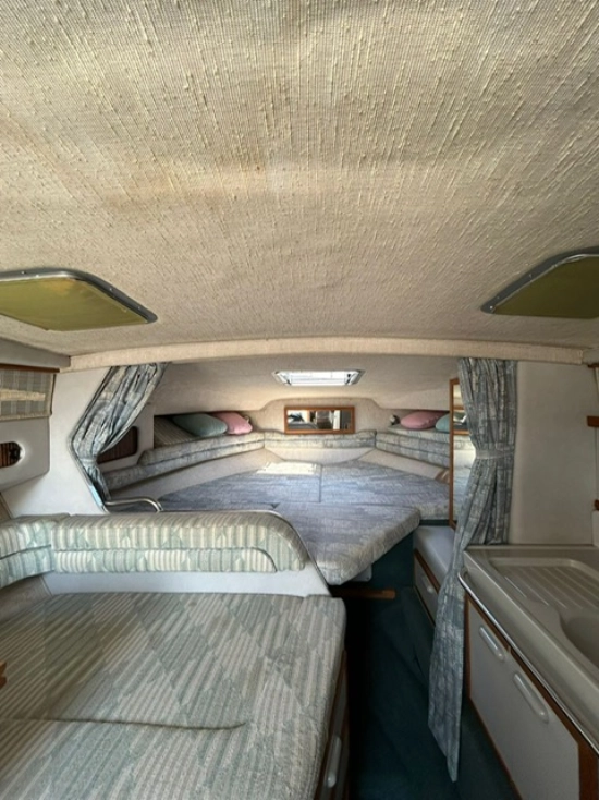 Sea Ray Sundancer 290 Da usado à venda