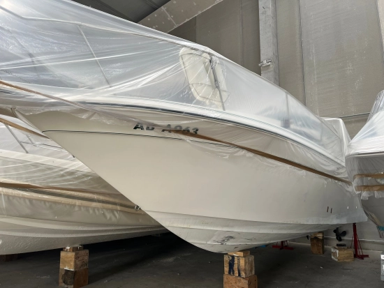 Sea Ray Sundancer 290 Da usado à venda