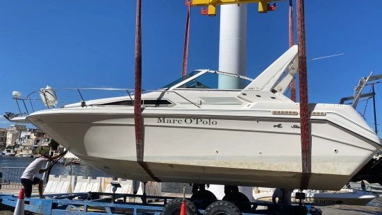 Sea Ray Sundancer 290 Da usado à venda