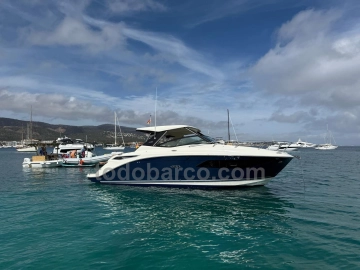 Sea Ray Sundancer 320 usata in vendita