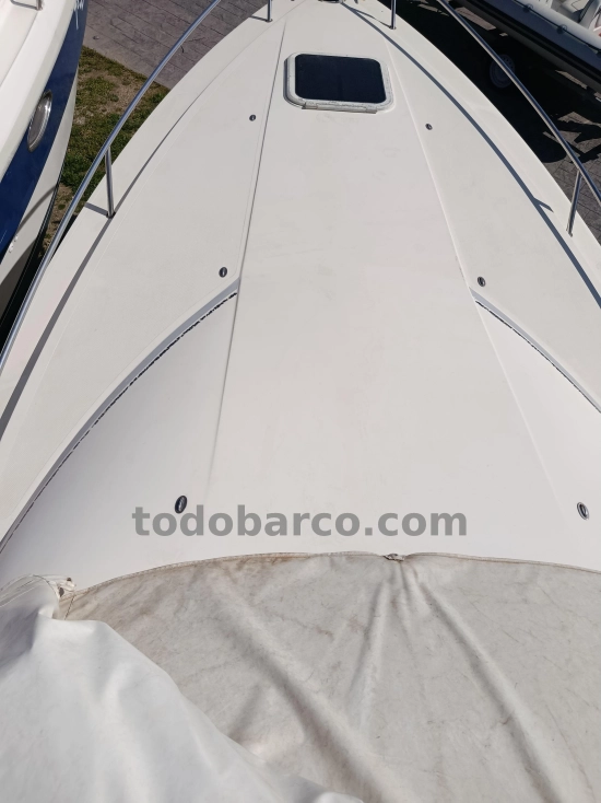 Cranchi Endurance 31 usado à venda