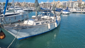 Trintella Victori de segunda mano en venta
