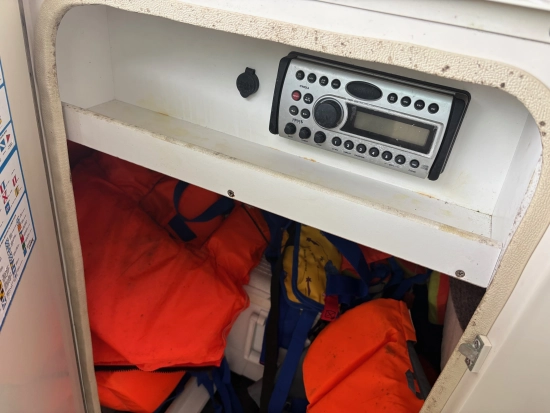 Sea Ray Sundeck 240 usado à venda