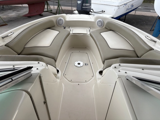 Sea Ray Sundeck 240 usado à venda