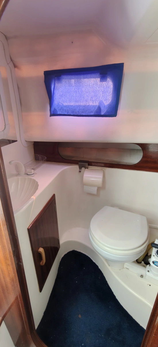 Astinor 700 de segunda mano en venta
