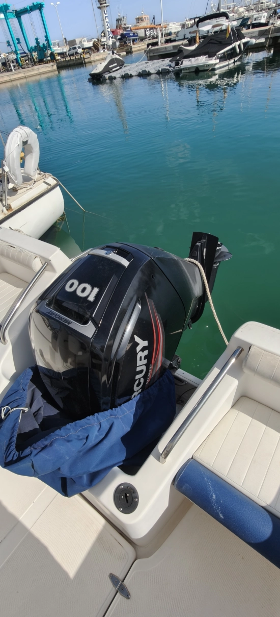 Felco Delfin 595 Plus usado à venda
