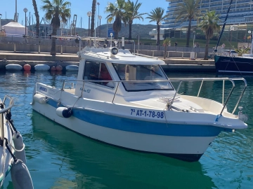 Fibresport ARTABAN 650 usado à venda