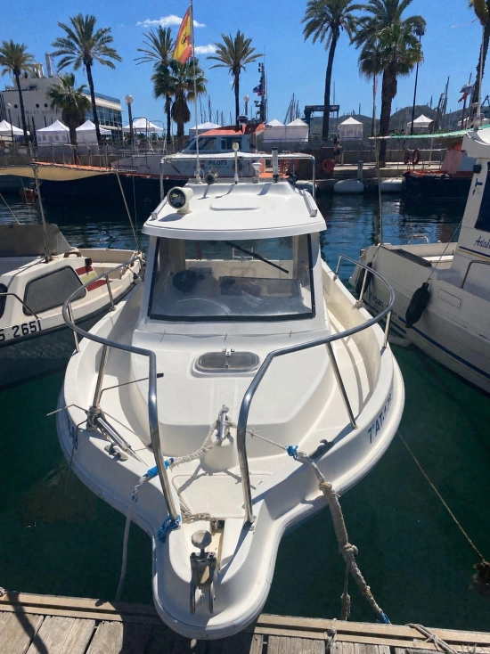 Fibresport ARTABAN 650 usado à venda