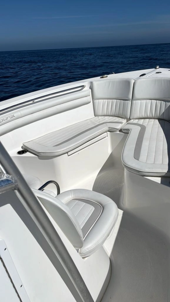 SEA FOX COMMANDER 288 usado à venda