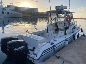 Grady White Sailfish 282 de segunda mano en venta