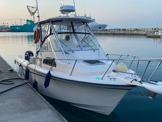 Grady White Sailfish 282 de segunda mano en venta