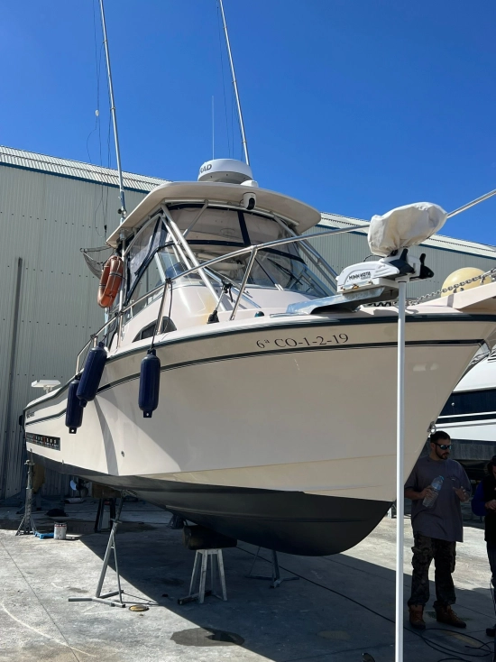 Grady White Sailfish 282 de segunda mano en venta